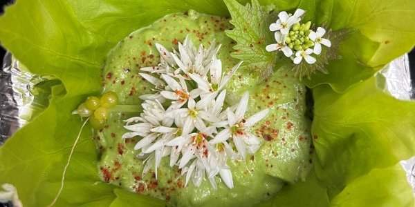 Naturally Planty : Balade "À la découverte des plantes sauvages et médicinales"