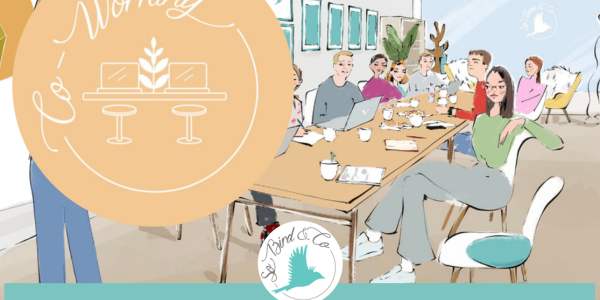 Annonce - Espace co-working So Bird & Co