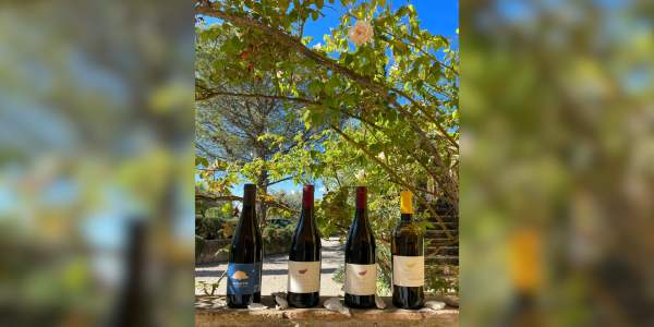 Les Belles Saveurs : Dégustation de vins