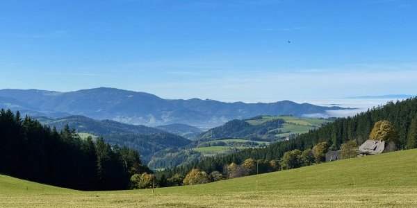 Annonce - Écrire & Marcher en Forêt-Noire &#127465;&#127466;