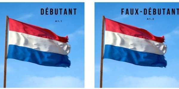 Annonce - Alliance Française : Cours de néerlandais débutant et faux débutant