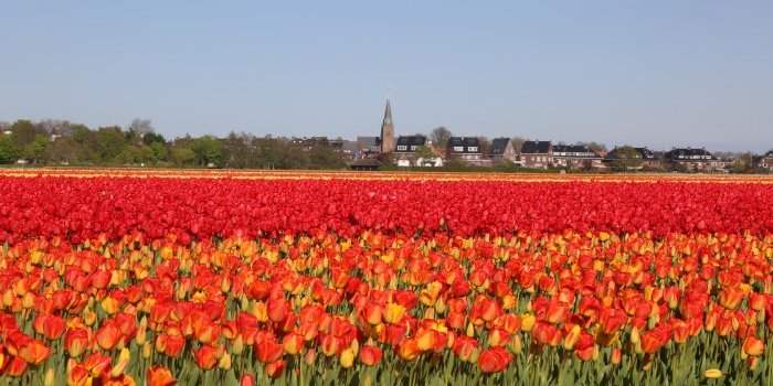 Vacances de printemps LvvG