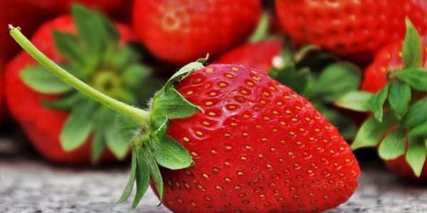 C'est la saison des fraises et des pivoines !!!