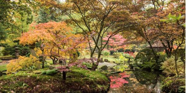 Jardin japonais de Clingendael 