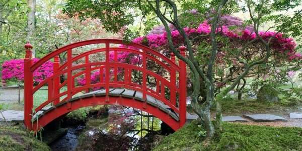 Réouverture du Jardin japonais du samedi 29 avril au dimanche 11 juin 2023