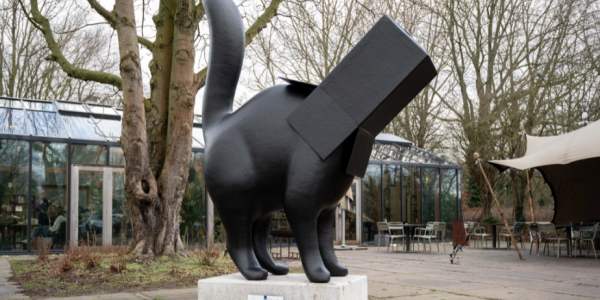 Éthique numérique - Le chat de Westbroekpark vous y incite