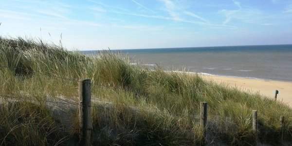 Littoral & Plage