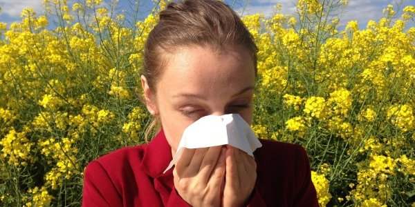 Le retour des allergies