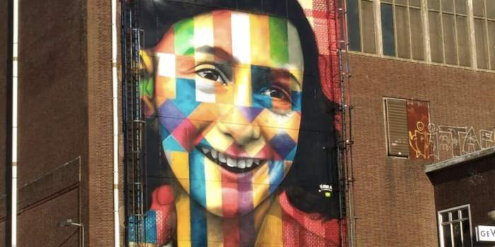 Visite des quartiers Nord d'Amsterdam + Musee Street Art