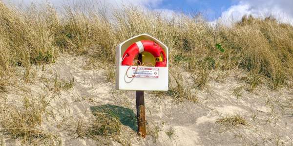 On recherche : un Papa Noël et des guirlandes lumineuses type guinguette