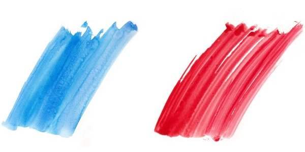2022, année électorale &#127467;&#127479; - Soyez à jour