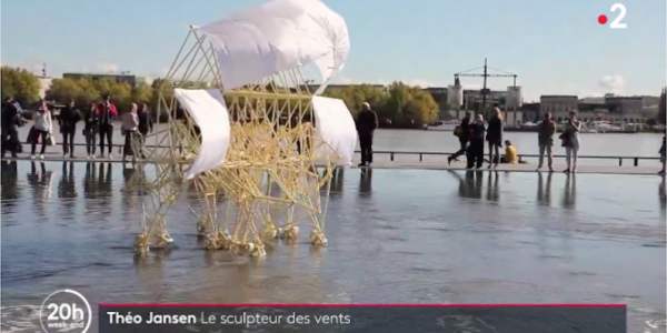 Theo Jansen, le sculpteur du vent - Un reportage de France 2