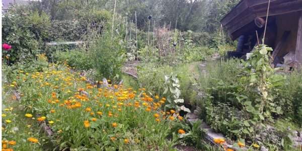 Journée de l'Alimentation Durable de la Terre à l'Assiette ! - 30 avril 2023
