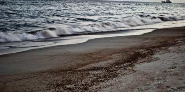 Petites boulettes de pétrole sur les plages de La Haye