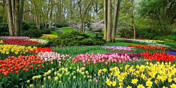 Keukenhof - Du 24 mars au 15 mai 2022