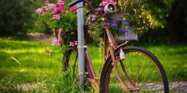 Faites du tri et recyclez