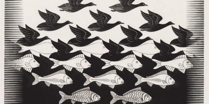 Exposition "Escher, l'autre monde" au Kustmuseum (2ème visite)