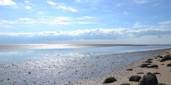 Répit pour la mer des Wadden