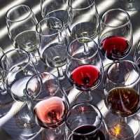 Wine tasting "Vins de Loire"
