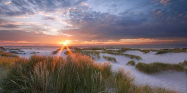 Découvrez "Waddenzee", la mer des Wadden et sa région 