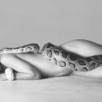 Exposition Richard AVEDON - Relationships @ Kunsthal Rotterdam