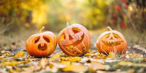 À faire en octobre avec les enfants